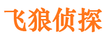 蓝山侦探调查公司